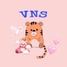 VNS Journey's profile picture
