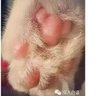 铅灰's profile picture