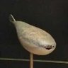Profilbild von fishy