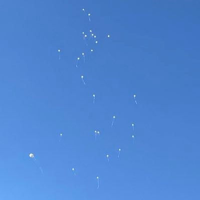 PornGourmets's profile picture