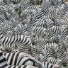 Фото профиля ตากล้องข้างทางที่เดินผ่านมา