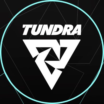 TUNDRA Fortnite's profile picture