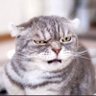 Profilbild von Bem