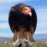 Docma's profile picture