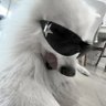 Profilbild von ⓜⓨ ⓜⓘⓝⓣ ⓑⓔ ⓐ ⓜⓞⓣⓗⓔⓡ
