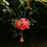 Фото профиля El genio del lugar