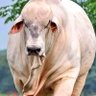 FREE STATES POVERTY's profile picture