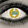 GrönĂgađș's profile picture