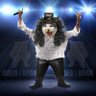 Slash Fella Cat's profile picture