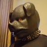 Pig_gy_AD profil fotoÄrafı