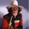El mas chismoso del grupo. profil fotoğrafı