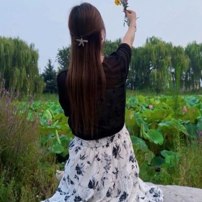 月光倾城's profile picture