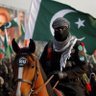معصوم شہری's profile picture