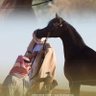 Фото профиля جلمود