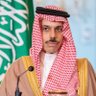 بدر حامد's profile picture