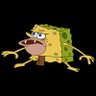 sPoNgE gAr's profile picture