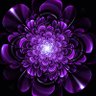 solarapparition 的头像