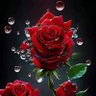 🌸hom🌸 profil fotoğrafı