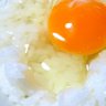 ぐでたま's profile picture