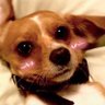 玖's profile picture
