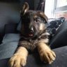 Mc's profile picture