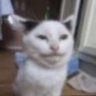 É Helcius's profile picture