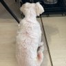 うめひこ★ 的头像