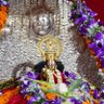 Profilbild von अवनि कुमार मिश्रा 🇮🇳