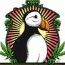Фото профиля AP
