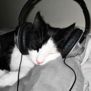 catIoversclub's profile picture