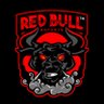 Red Bull™️'s profile picture