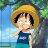 harshit's profile picture