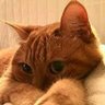 Profilbild von @si.oyen.2024