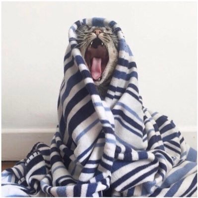 Прошу любить и жаловать✨'s profile picture