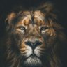 HRH_MUFC 的头像