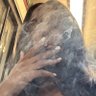 M0llyy Dai$y's profile picture