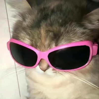 xiangcaiqusiba's profile picture