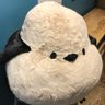 Profilbild von ひまわり