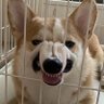 esperanzo profil fotoğrafı