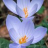 Фото профиля herima
