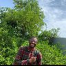 Iyanuoluwa's profile picture