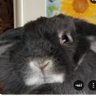 やまと profil fotoğrafı