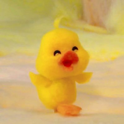 노랑🐥's profile picture