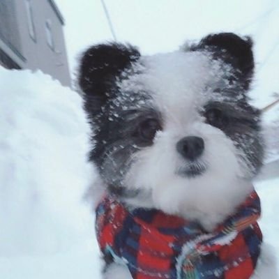 rice1212000's profile picture