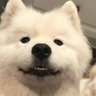 sss's profile picture