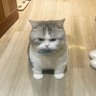 stormi🧃🎀 的头像