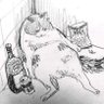 Insense1 的头像