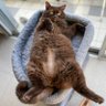 Фото профиля Mr Charlie