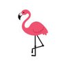 PrettyFlamingo 💙 🏴󠁧󠁢󠁳󠁣󠁴󠁿 的头像