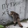 The Coon's profile picture